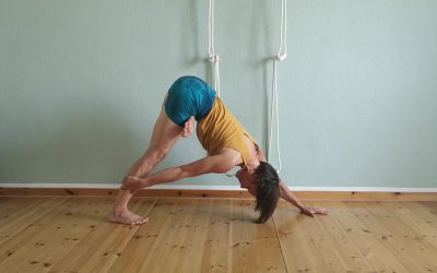 IYENGAR® YOGA WORKSHOP
